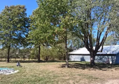 Dependable Tree Care