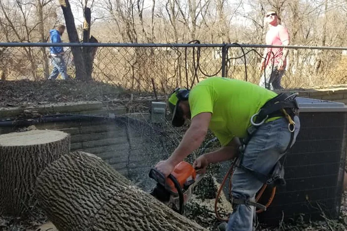 Nathan Tree Service's Other Services