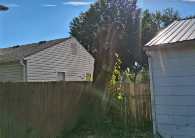 Reliable Tree Trimming