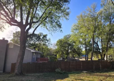 Tree Maintenance (1)