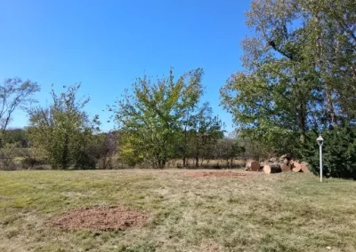 Tree Maintenance (12)