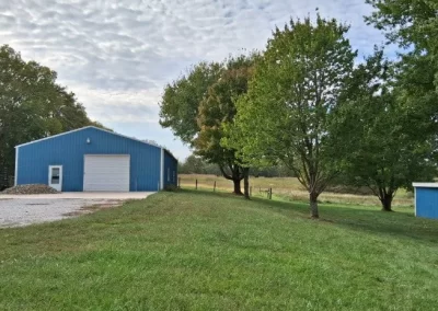 Tree Maintenance (16)