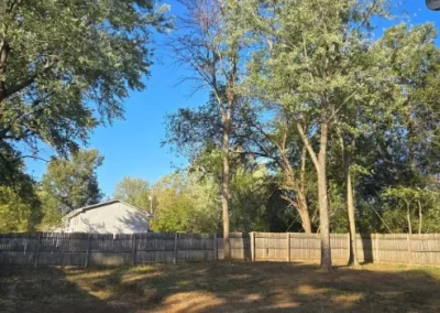 Tree Maintenance (18)