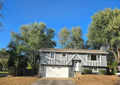 Tree Maintenance (23)