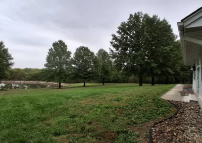 Tree Maintenance (3)