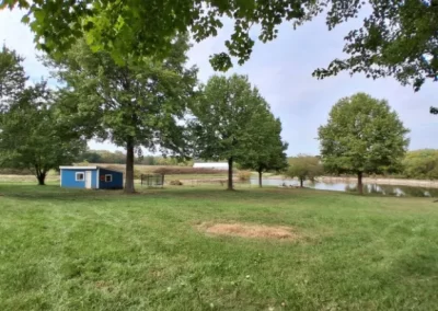 Tree Maintenance (6)