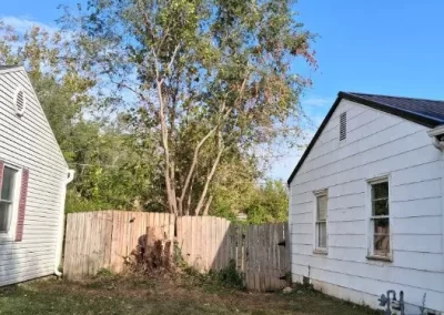 Tree Maintenance (9)