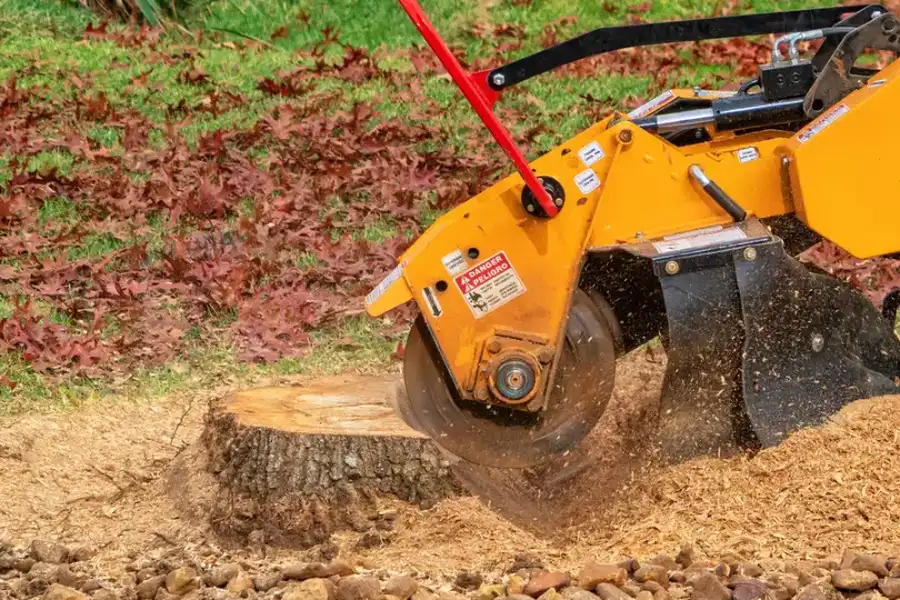 Top-rated Stump Grinding Lee's Summit, MO